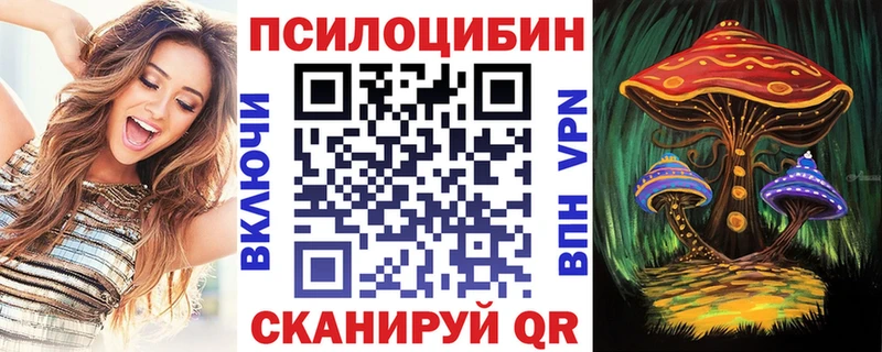 ОМГ ОМГ как зайти  Дубовка  Псилоцибиновые грибы GOLDEN TEACHER 