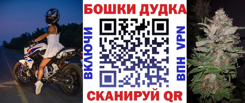 где можно купить   Дубовка  Конопля ГИДРОПОН 